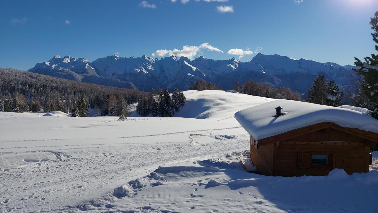 Baita Medil Predazzo Bagian luar foto